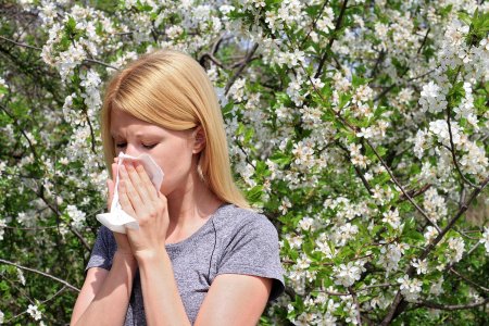 Как противостоять весенней аллергии? Основные меры по ее профилактике